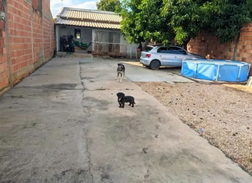 Planaltina (Jardim Roriz) vende-se 