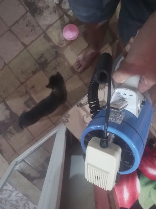 Megafone Csr todo bom - Foto 3