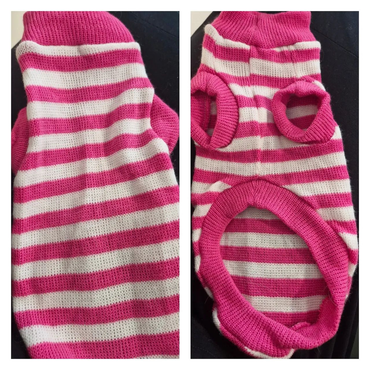 Roupa nova para cachorro 