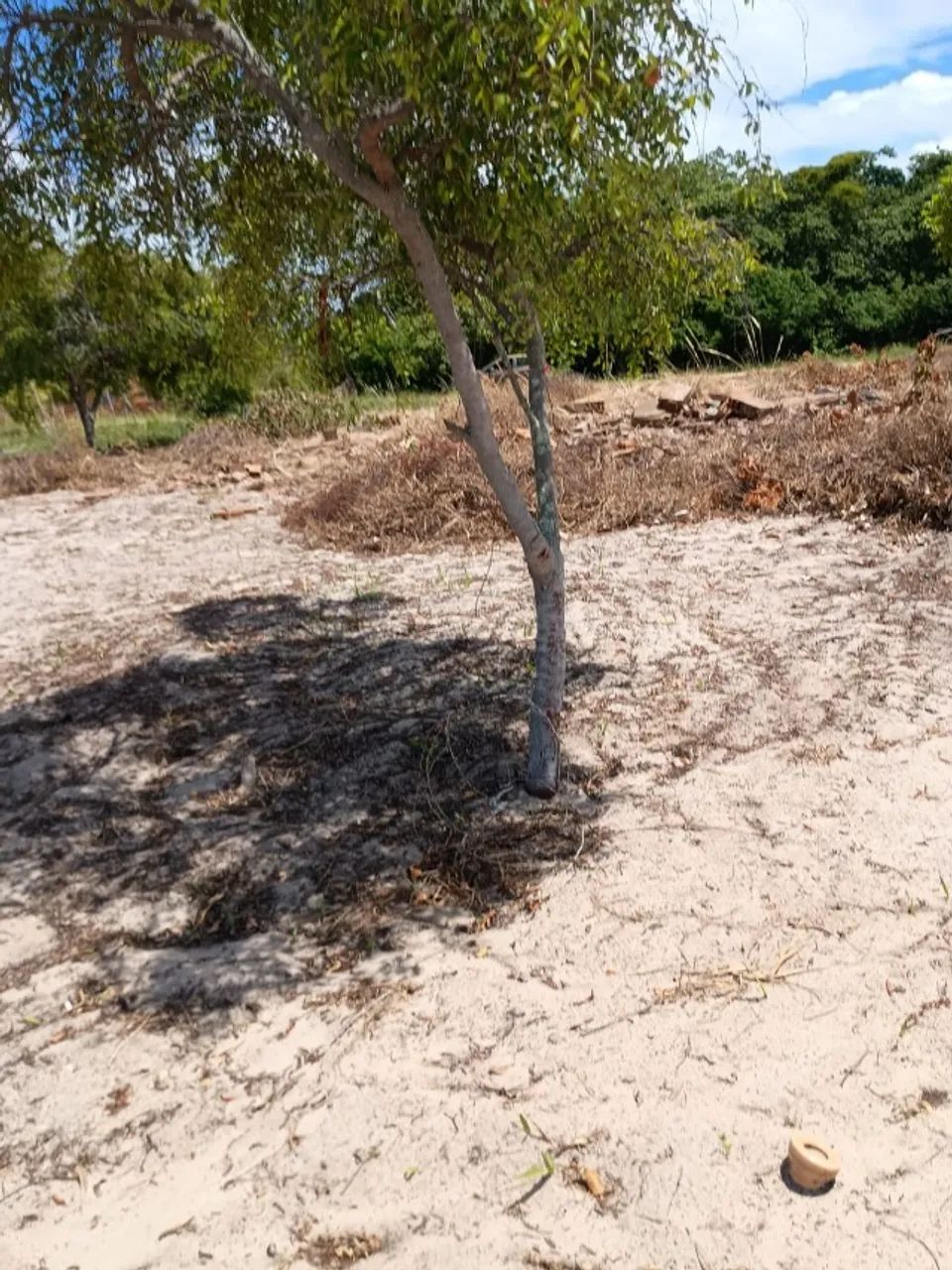 Lote / Terreno Povoado Jatobá - Chácara - Foto 3