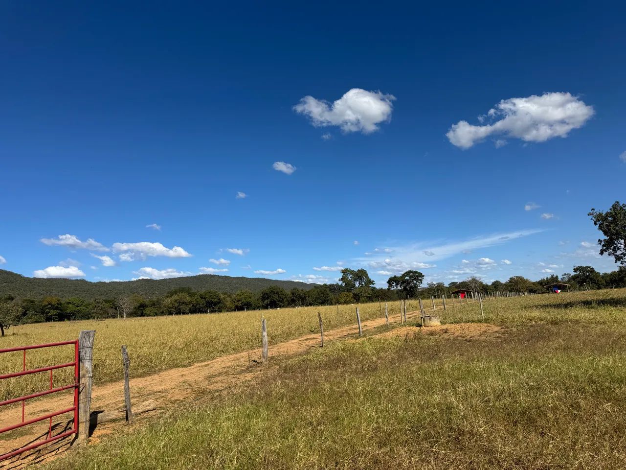 FAZENDA FORMOSA-GO  - Foto 3