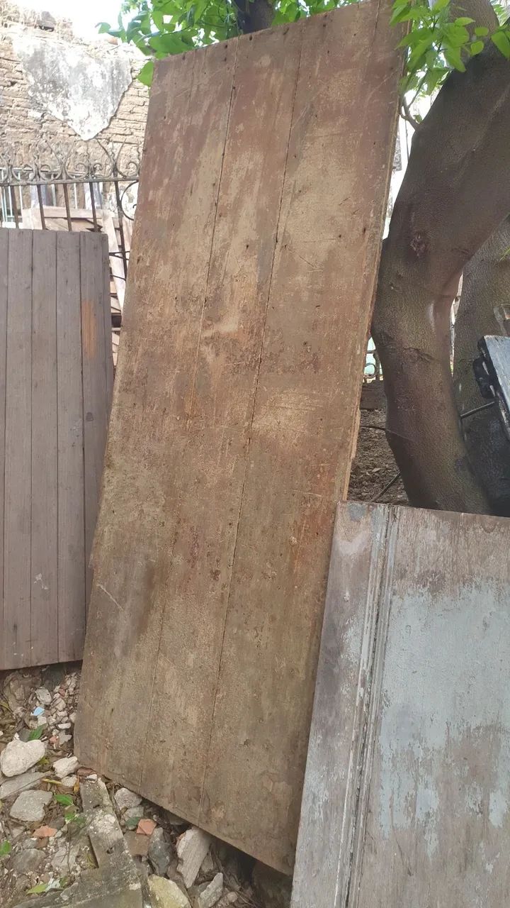 Madeira amarelo vinhático - Foto 3