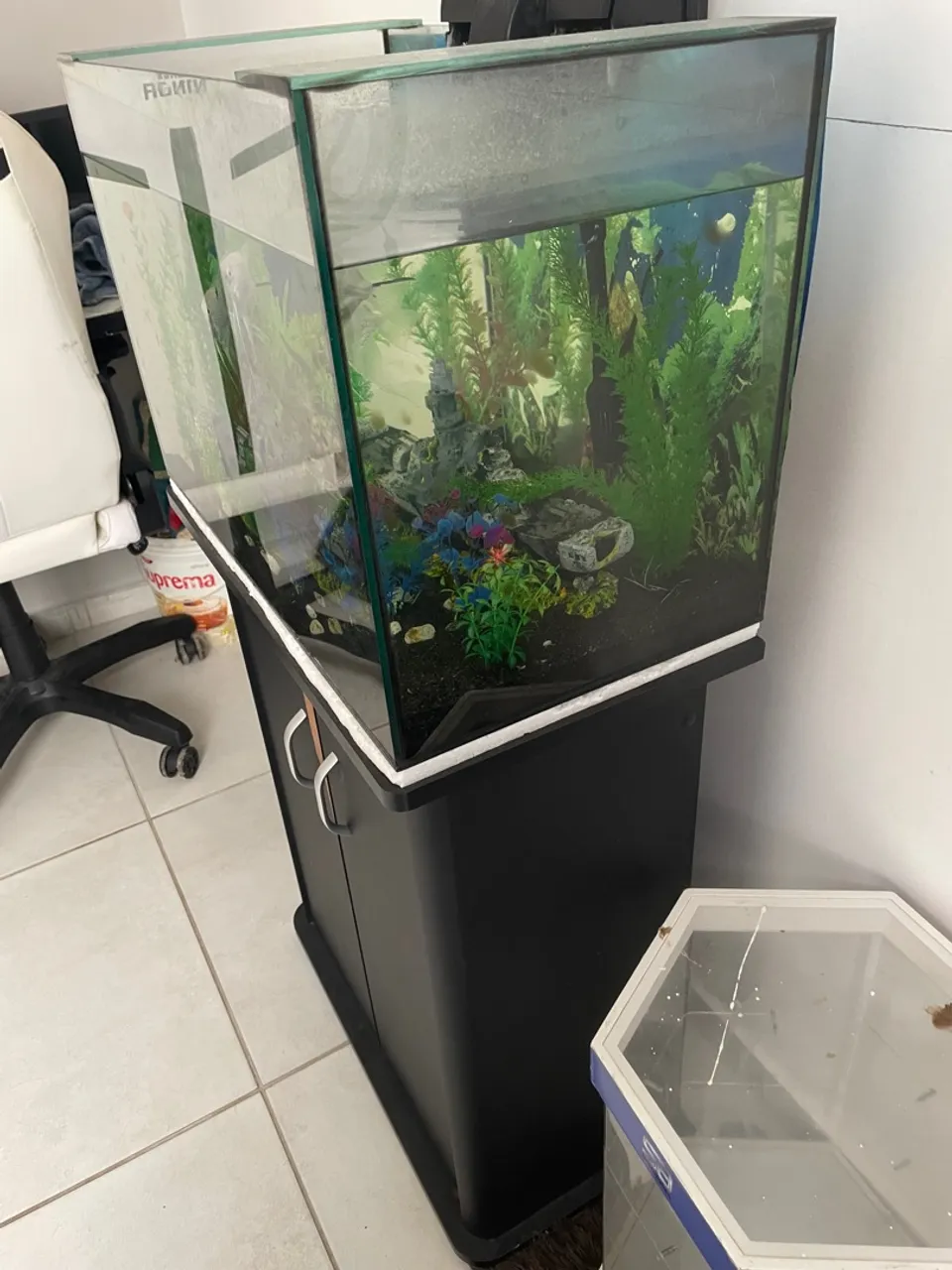 Aquário + móvel+ decoração venda!