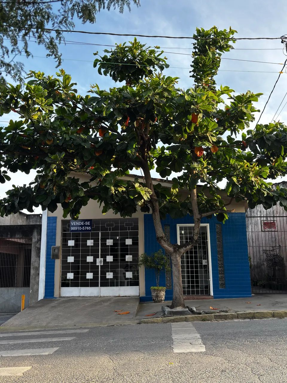 Foto - Vitória de Santo Antão - Matriz
