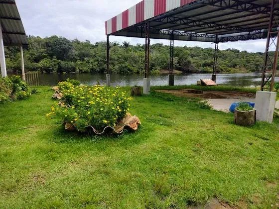 Chacara Perto da Cidade Universitaria 3.500m²  Casa e Galpão Km 08 da Manuel Urbano - Foto 4