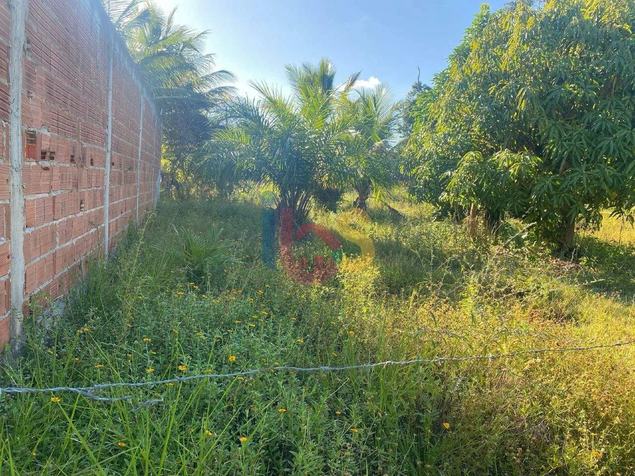 Vendo Lote na Zona Norte em Ilhéus - Foto 4