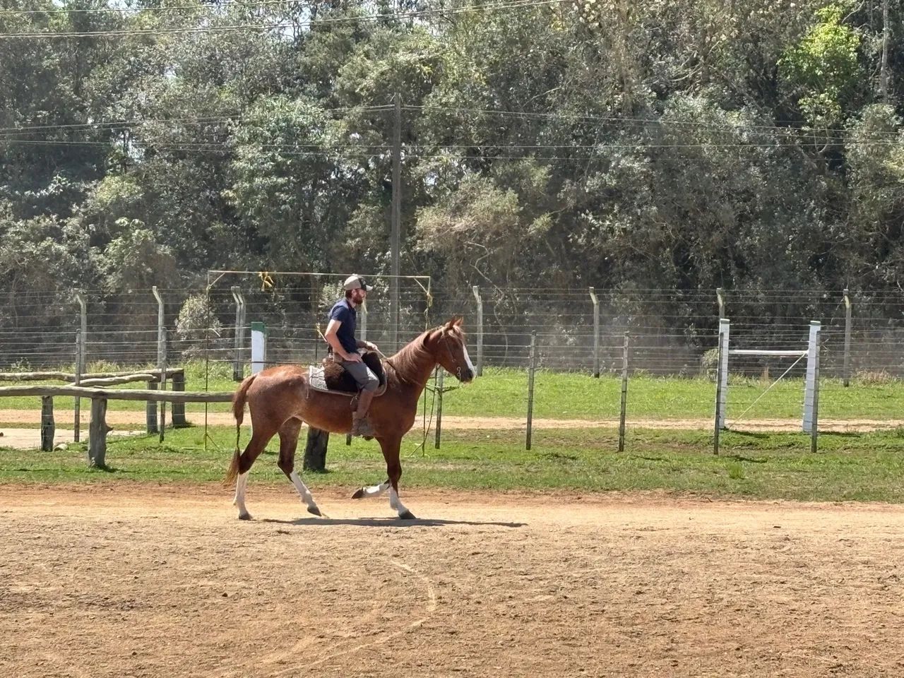 Égua manga larga top passo  - Foto 4