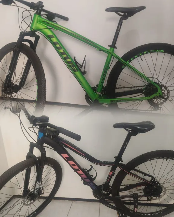 2 BICICLETAS LOTUS ARO 29 (VALOR POR CADA)