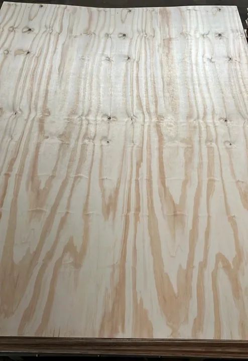 Compensado Pinus - Foto 6