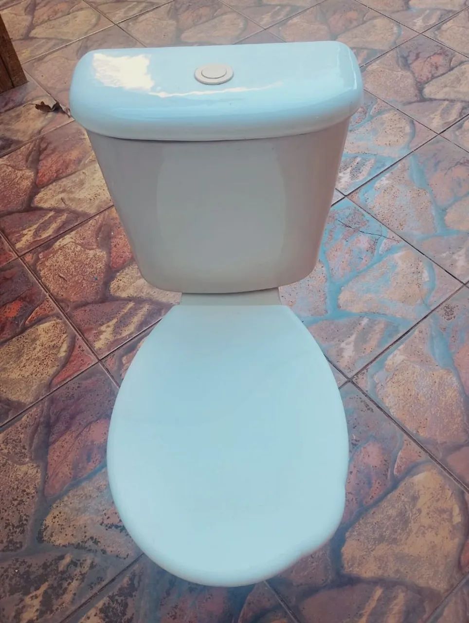 Vaso sanitário 