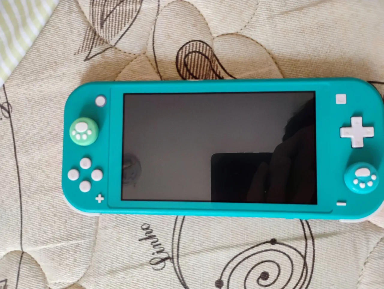 Nintendo switch lite destravado