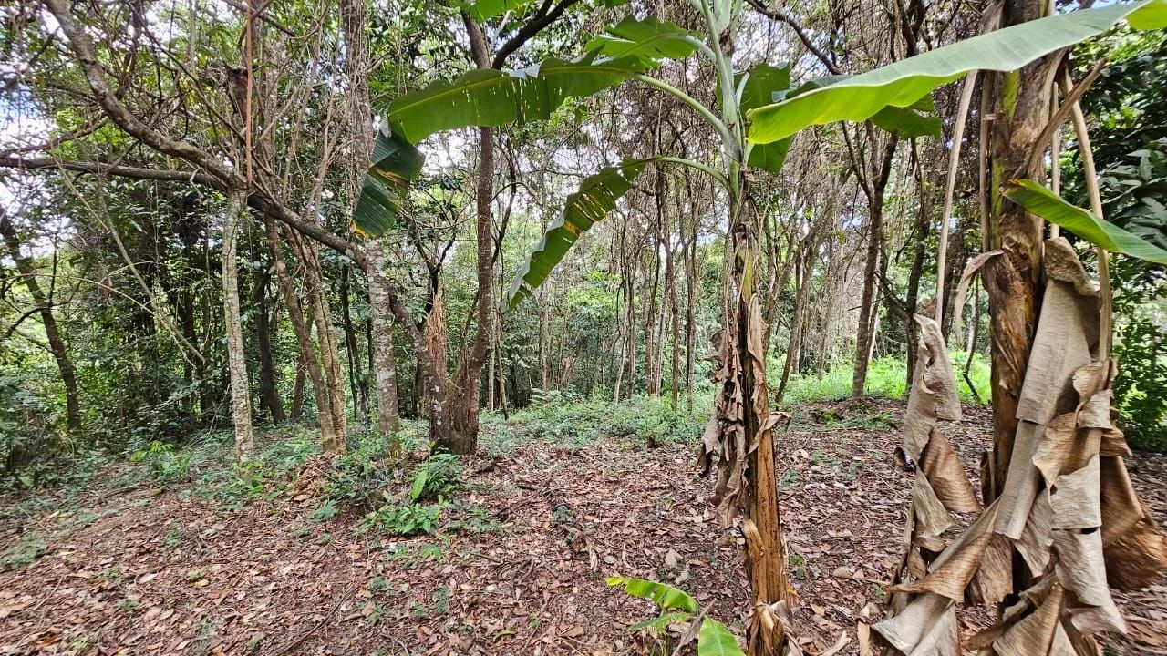  chácara de 3700m² em Hidrolândia na divisa com Aragoiania  - Foto 3