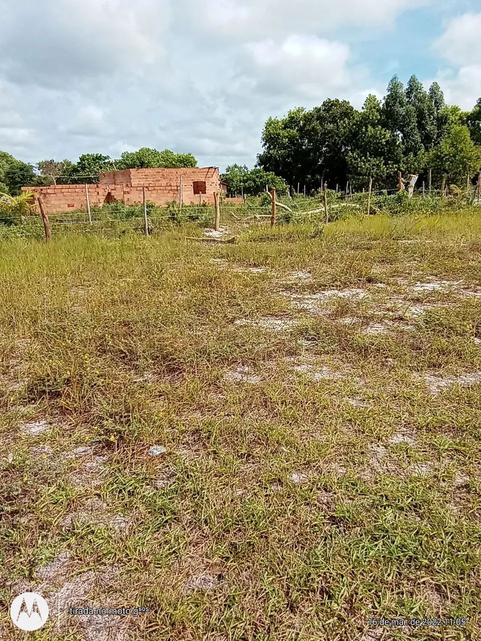 Foto - Nova Viçosa - 