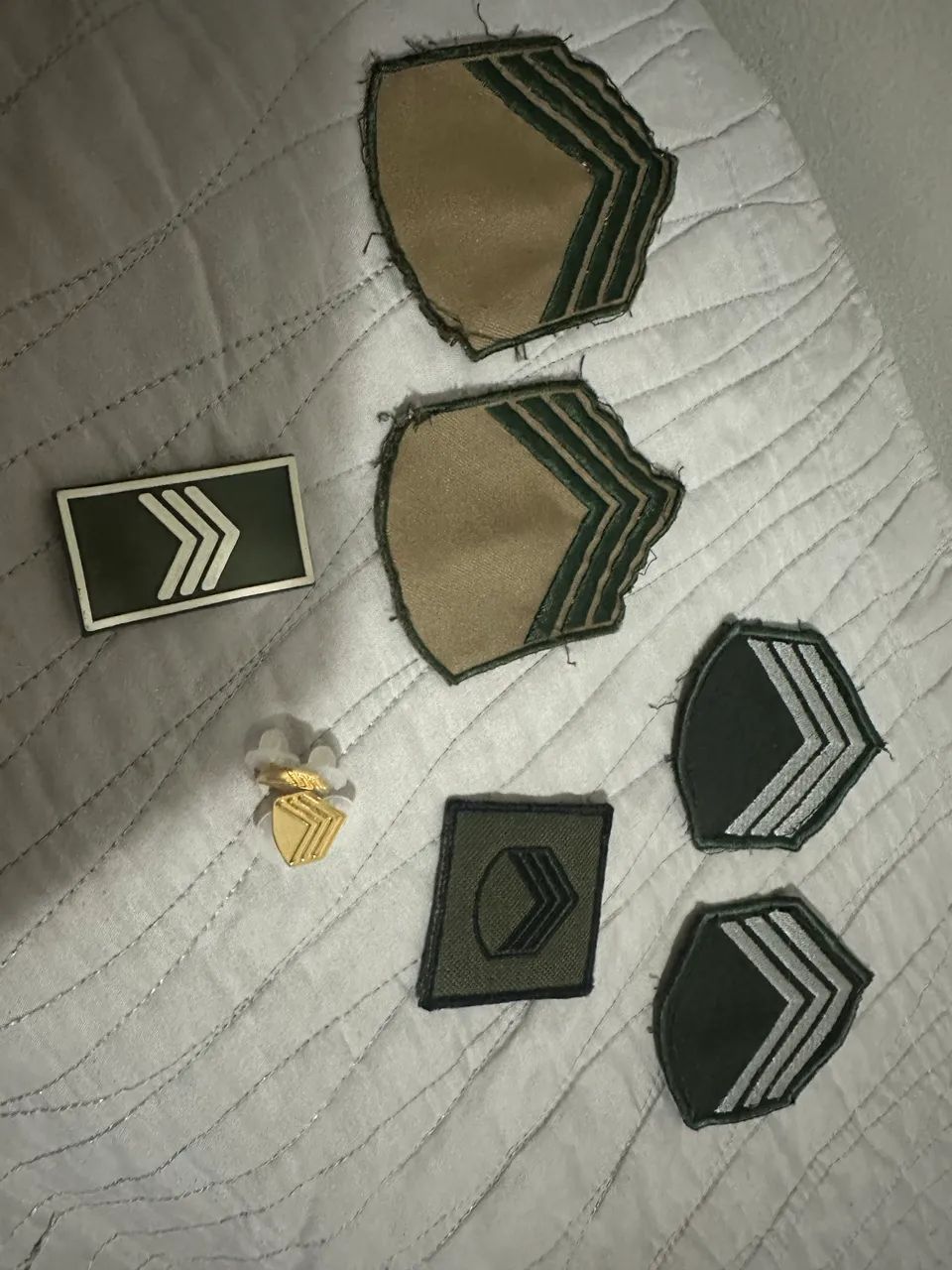 Sutaches sargento  - Foto 4