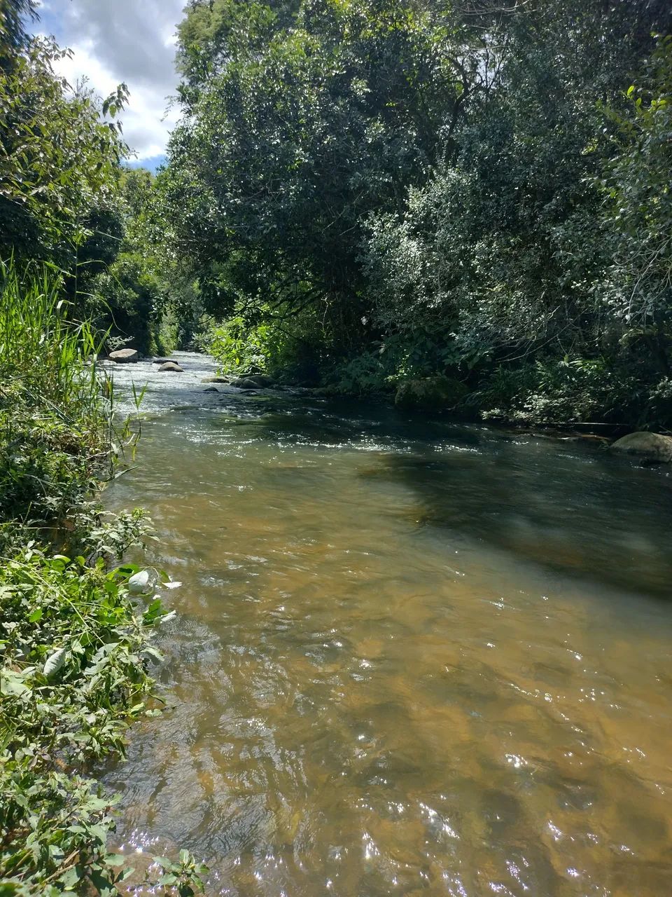 Terreno rural beira rio