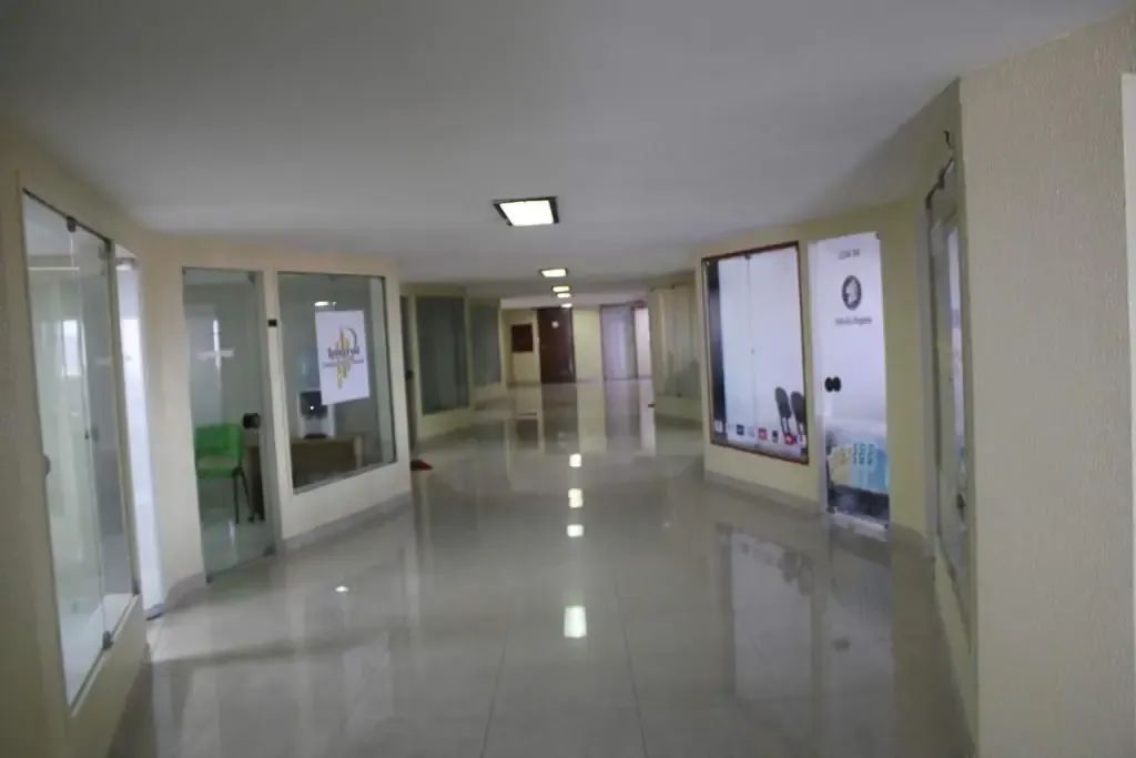 Apartamento em capim macio - Foto 2