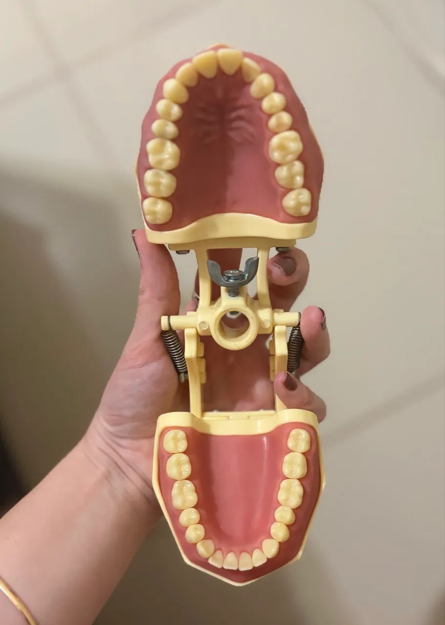 MANEQUIM ODONTOLÓGICO da ORAIS - Foto 4