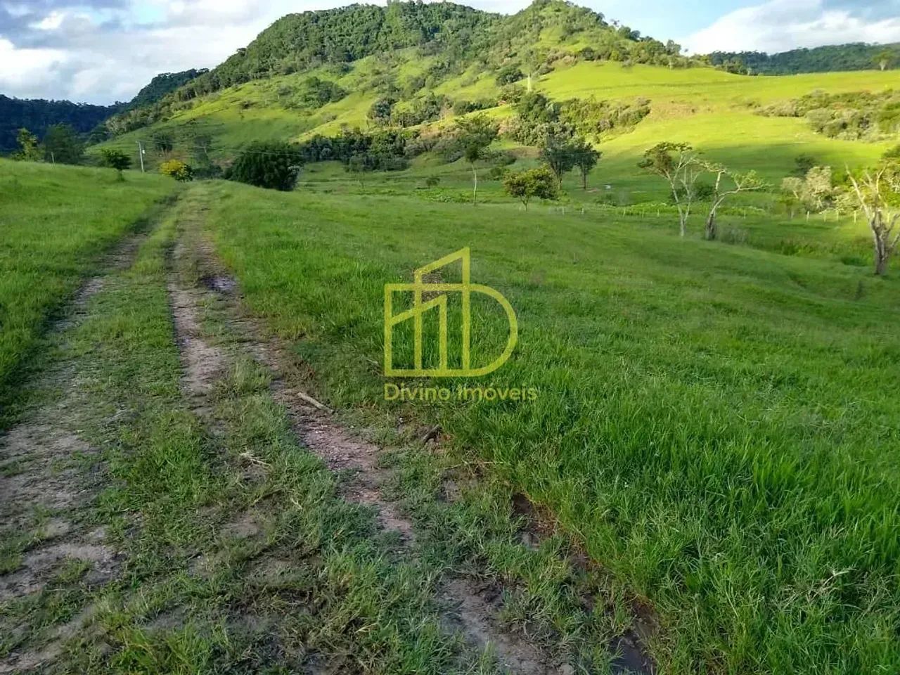 FAZENDA À VENDA EM ANGATUBA  SP - Foto 5