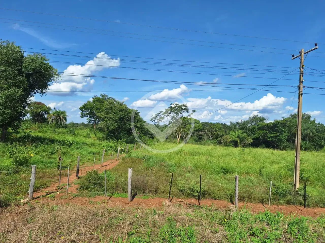 Sítio 20 ha ao lado da cidade- Ideal para Loteamento codigo: 324262 - Foto 5