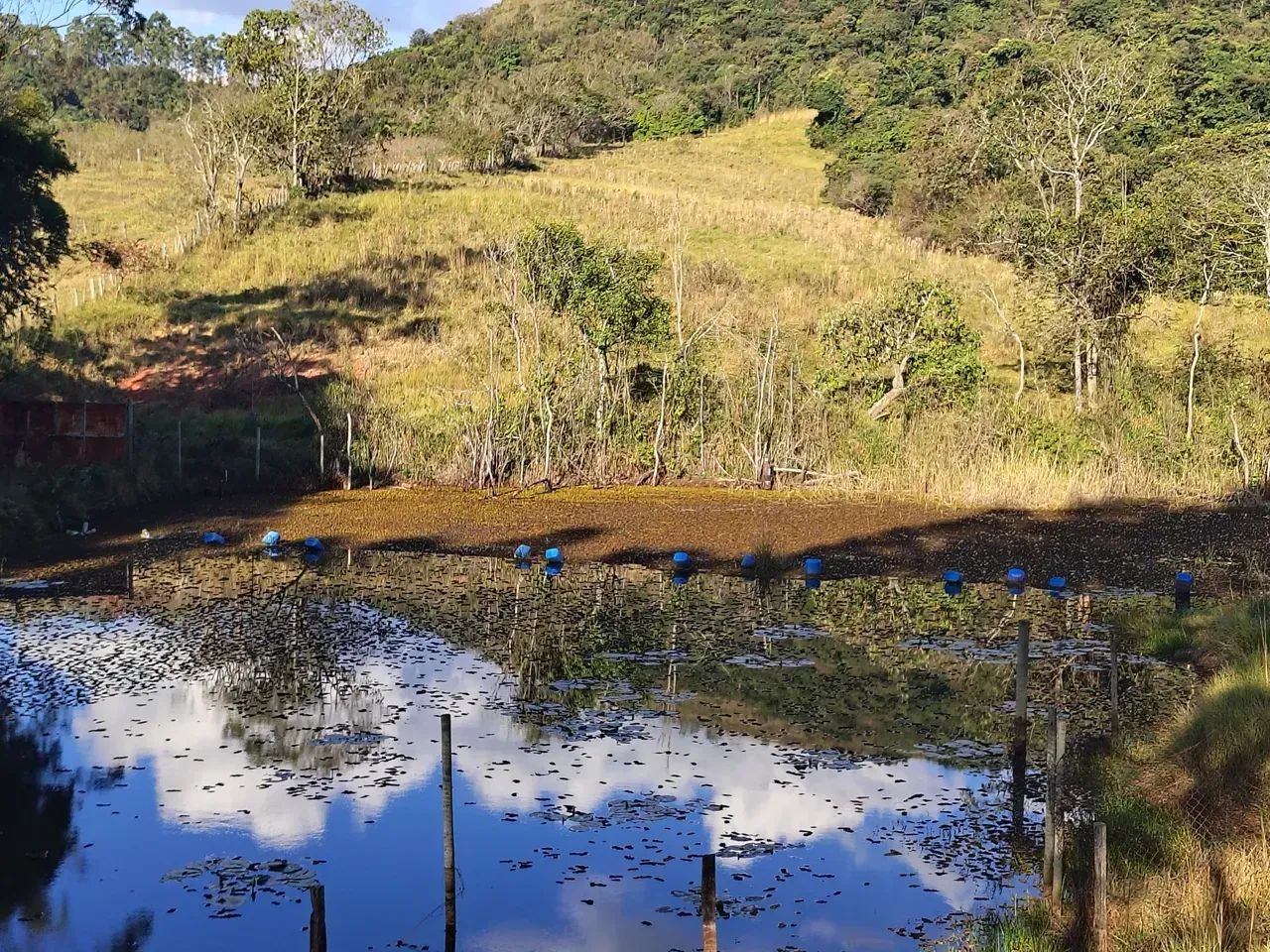 Sítio para gado ,lazer ,represa grande - Foto 5