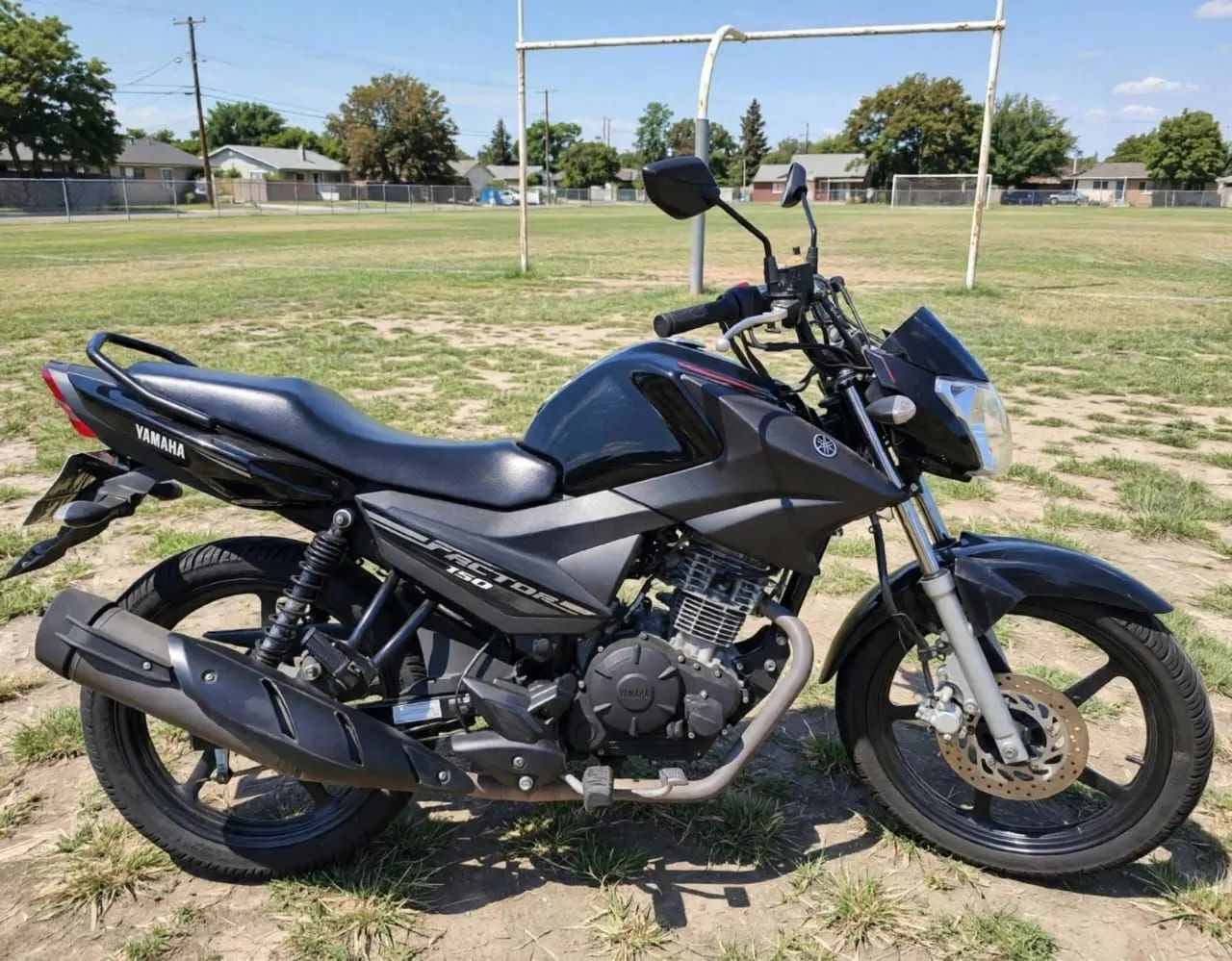 YBR factor 150 ED
