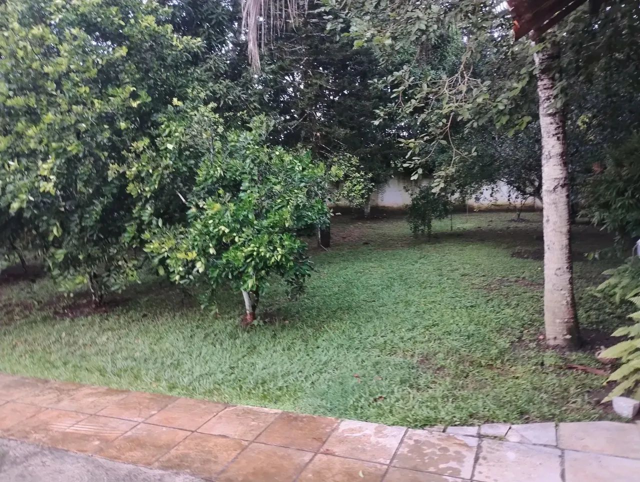 chácara em aldeia, km 10, vende-se - Foto 3