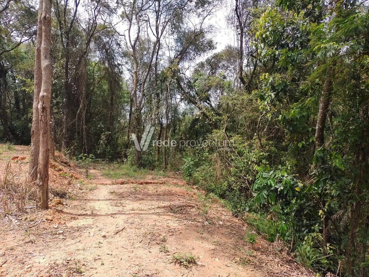 terreno - Dois Córregos - Valinhos - Foto 4
