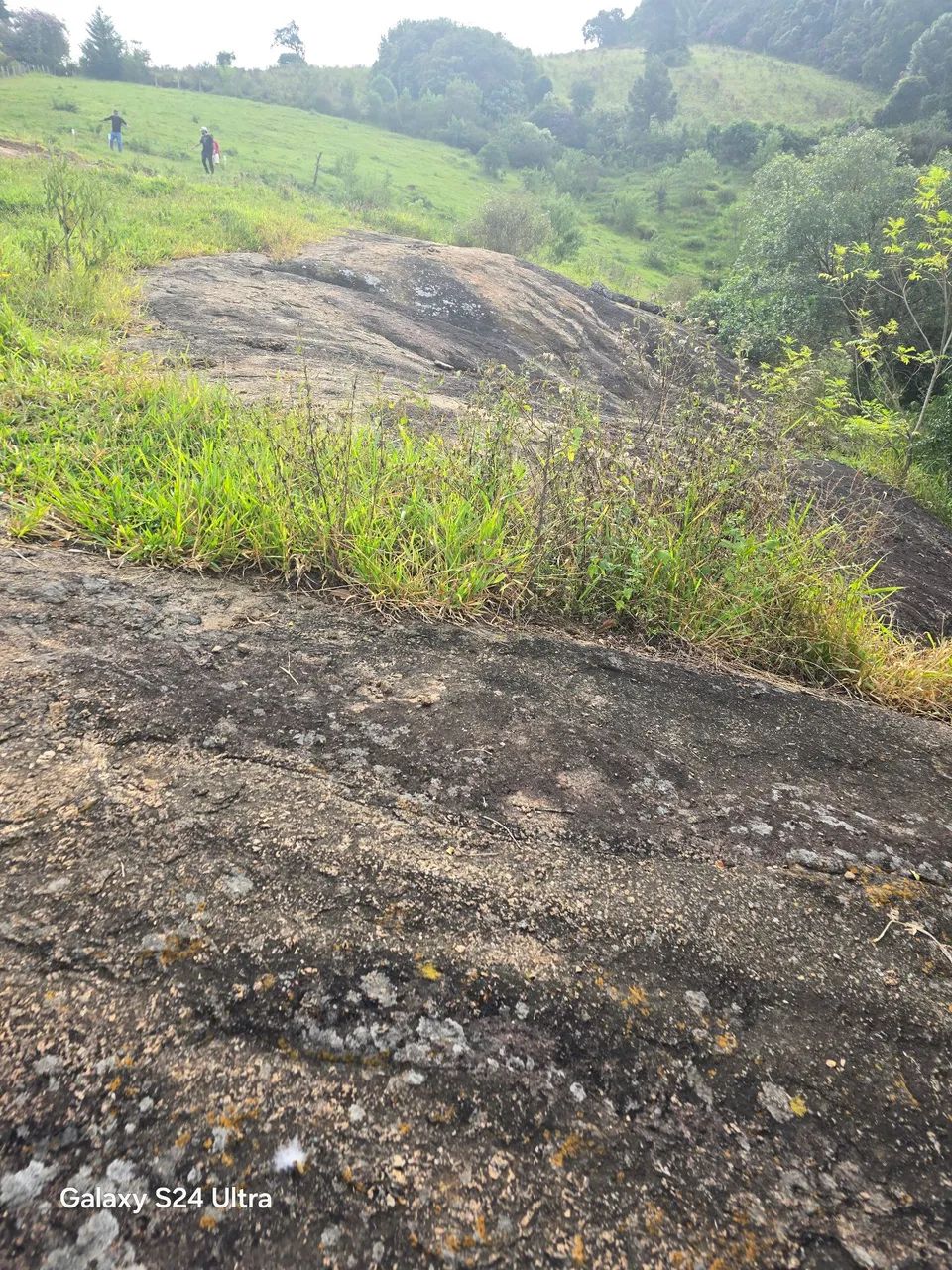 Terreno jj - Foto 4
