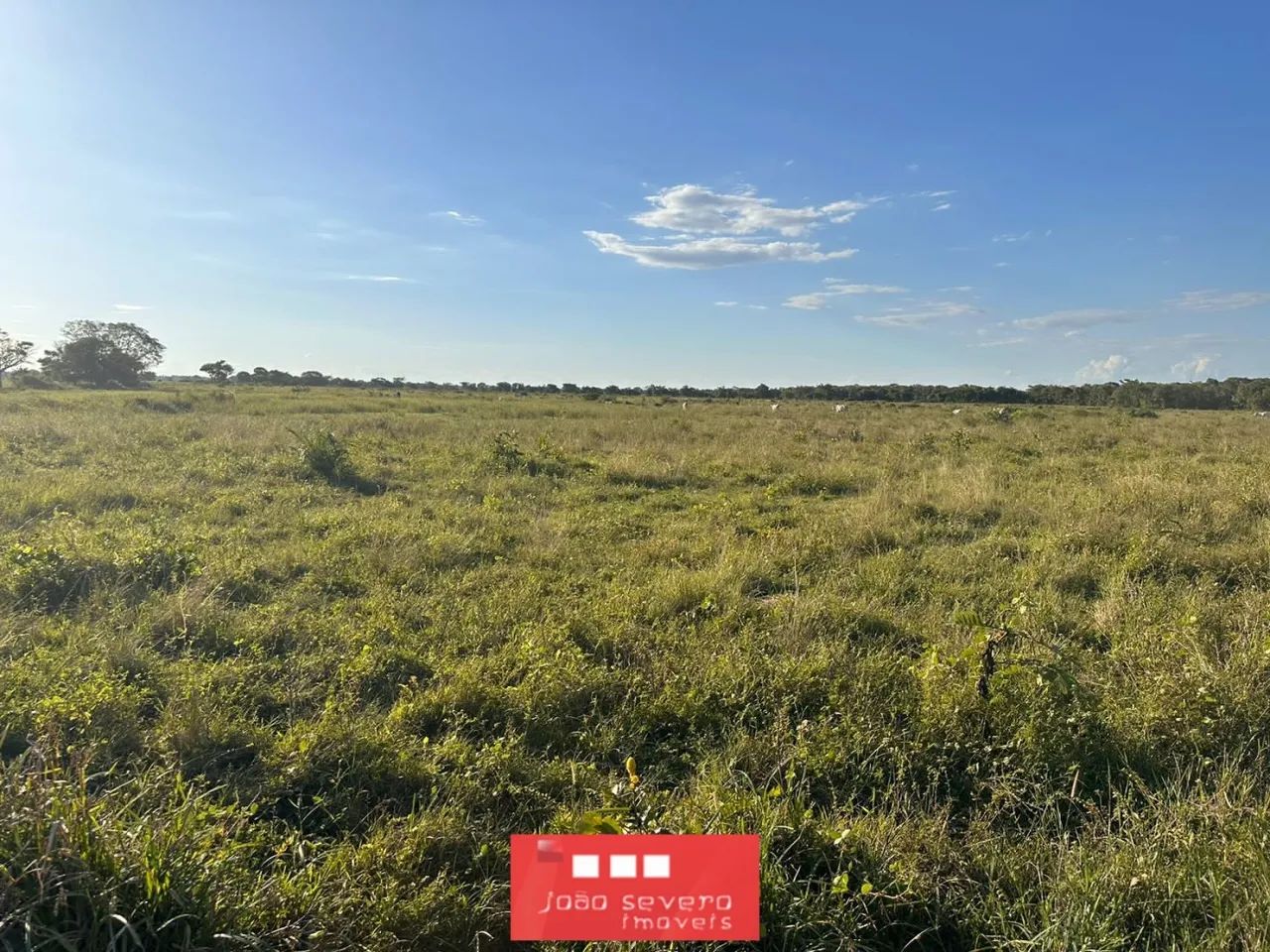 Fazenda para Venda em Formoso do Araguaia - Foto 3