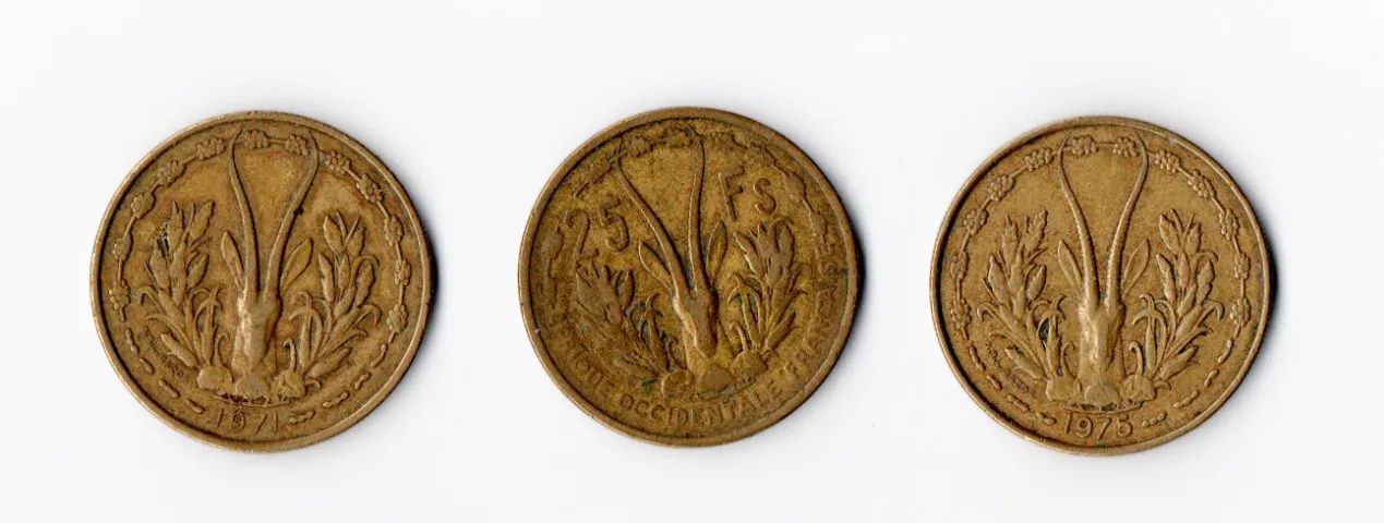 Para coleção: moedas Antigas Africanas  - Foto 3