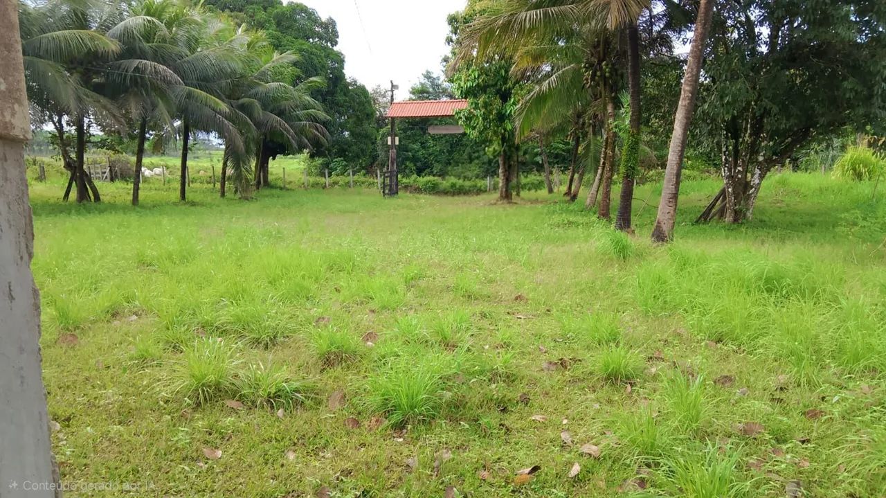 SÍTIO  a VENDA - Foto 2