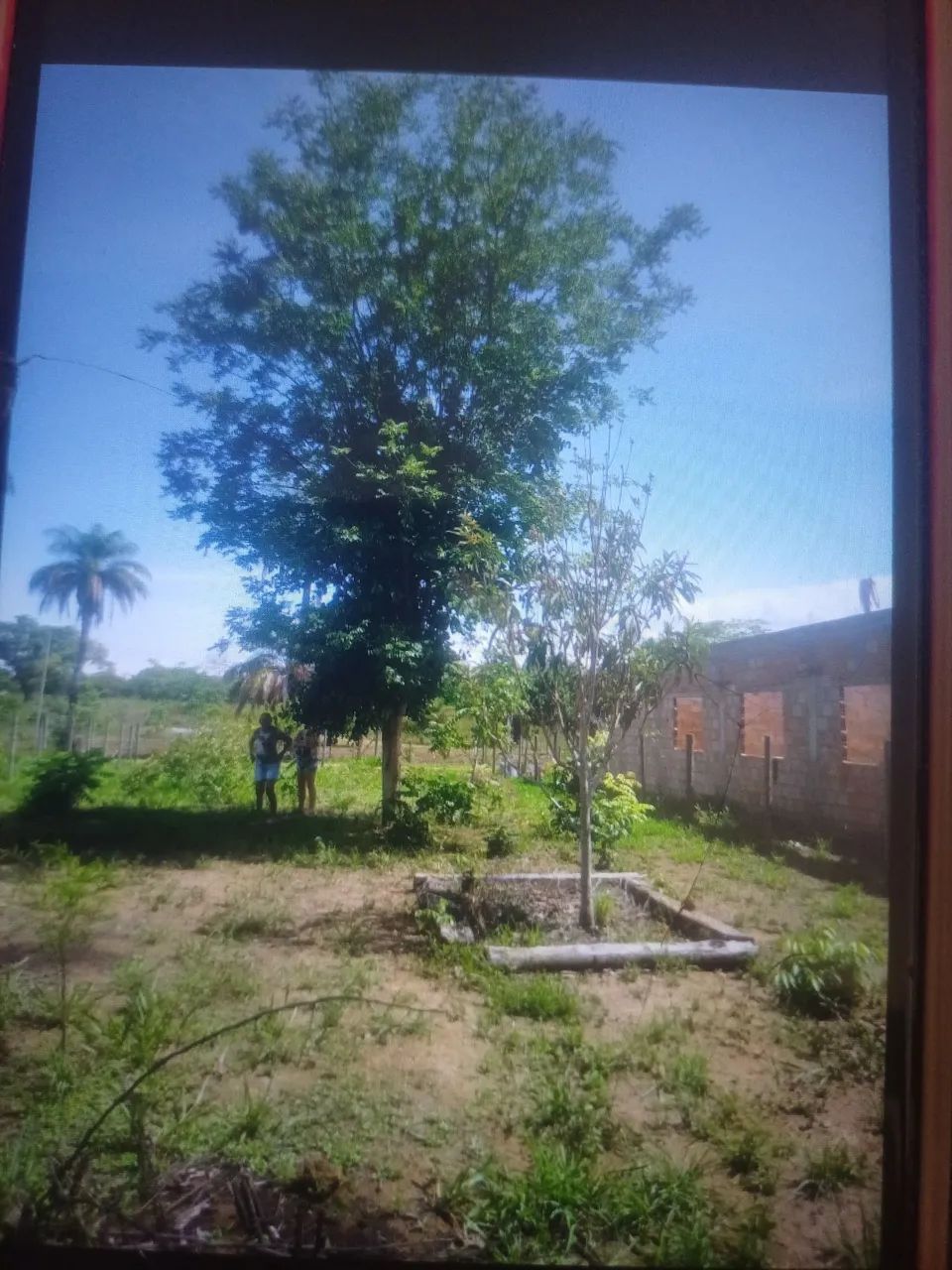 Lote em Beltrao - Foto 3