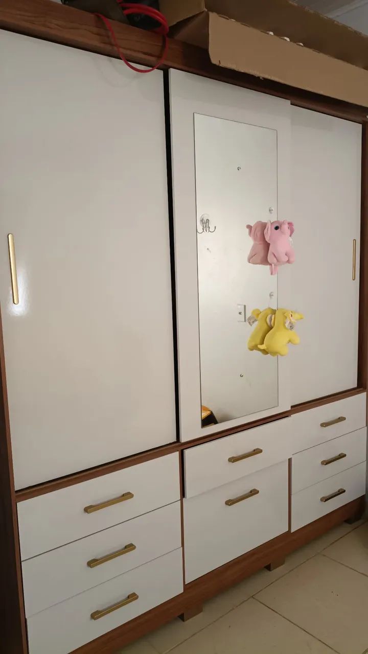 Vendo Guarda roupa semi-novo 