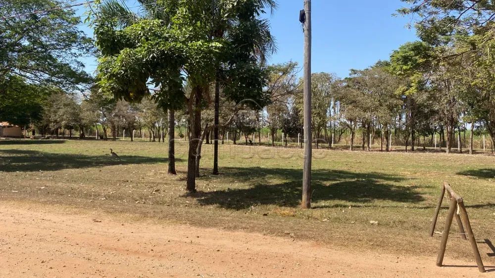 Terreno Condomínio - Foto 3