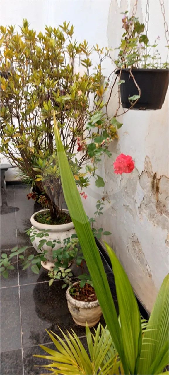 Sobrado com 4 quartos à venda em Jardim franca - SP - Foto 3