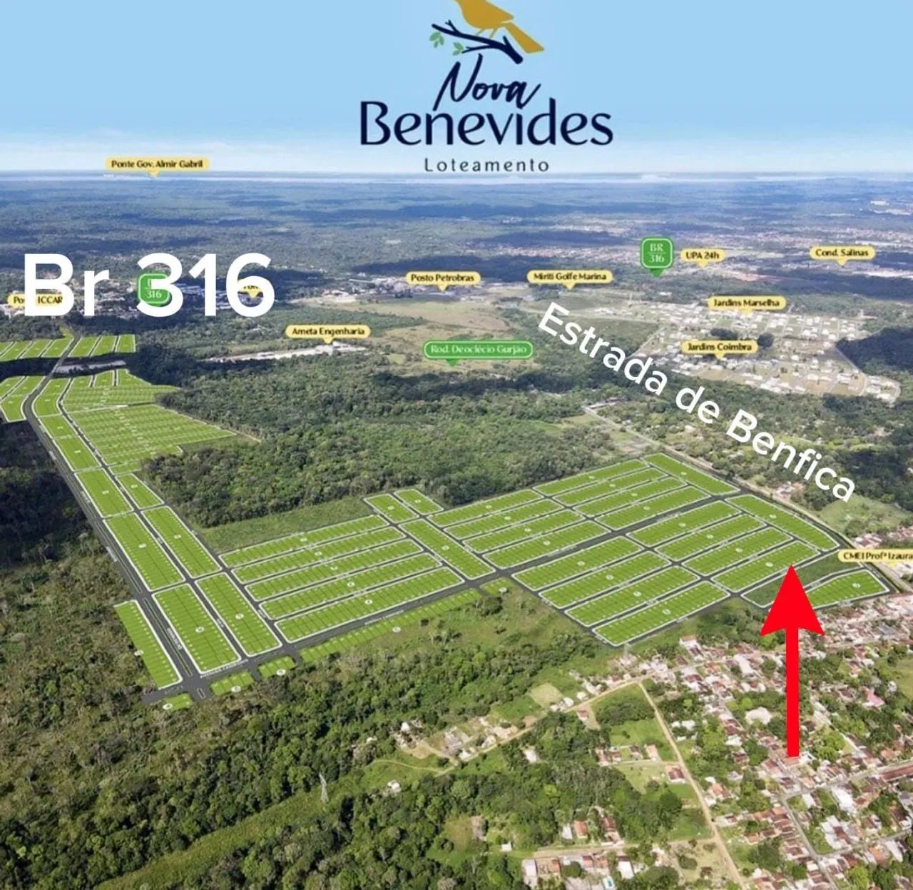 REPASSE DE  TERRENO NO LOTEAMENTO "NOVA BENEVIDES"