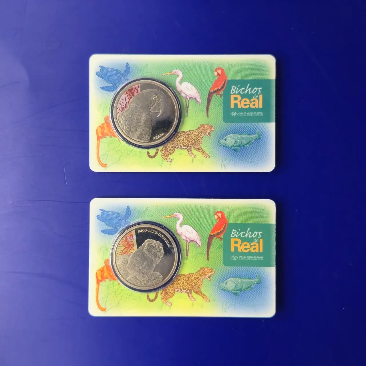  Série completa "Bichos do Real" - 2018 - Foto 3