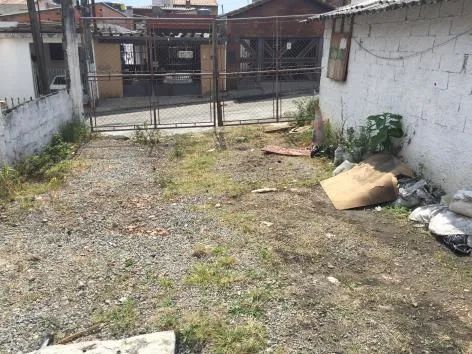 TERRENO COCAIA - Foto 3