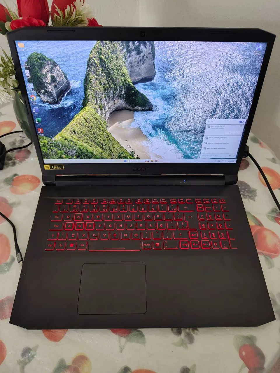Acer Nitro 5