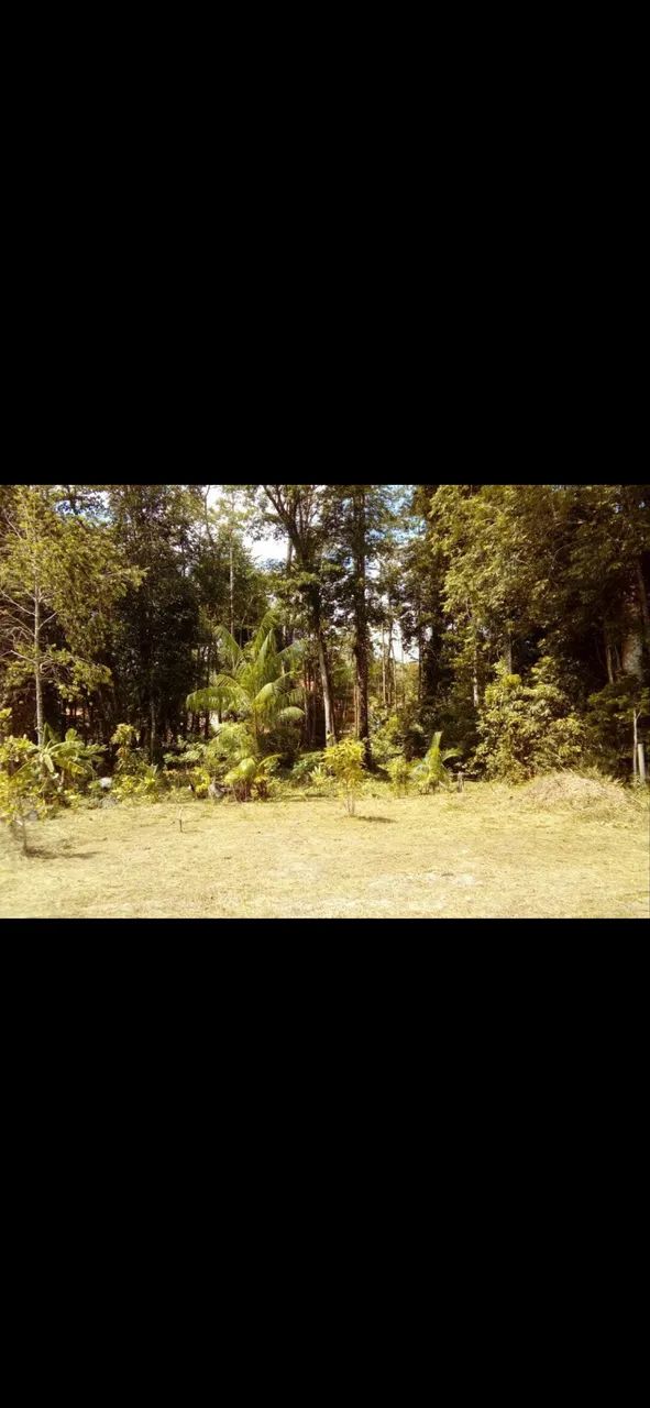 Terreno com igarapé e sem igarapé  - Foto 5