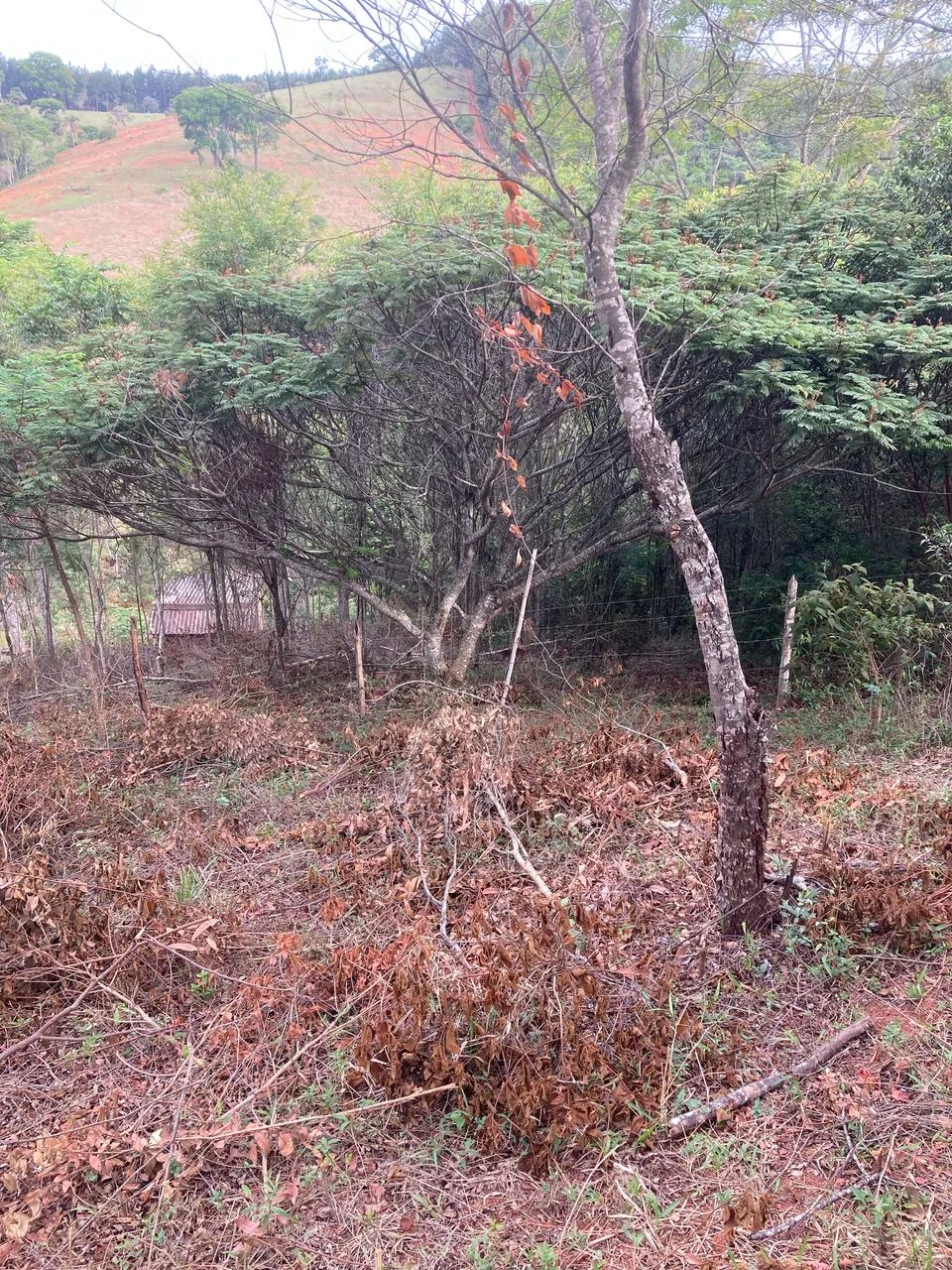 Terreno nas Bateias em Itabira/MG - Foto 2