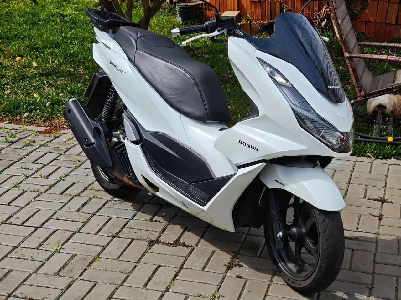PCX 2023 ABS