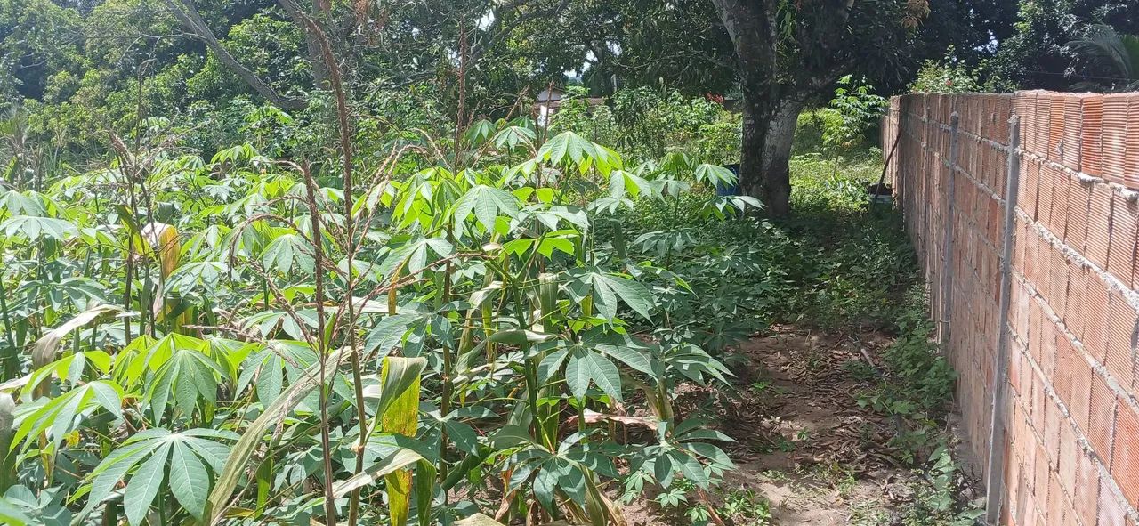 Terreno em Paudalho PE  - Foto 5