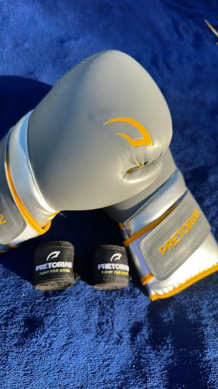 LUVAS DE BOXE E MUAY THAI PRETORIAN ELITE