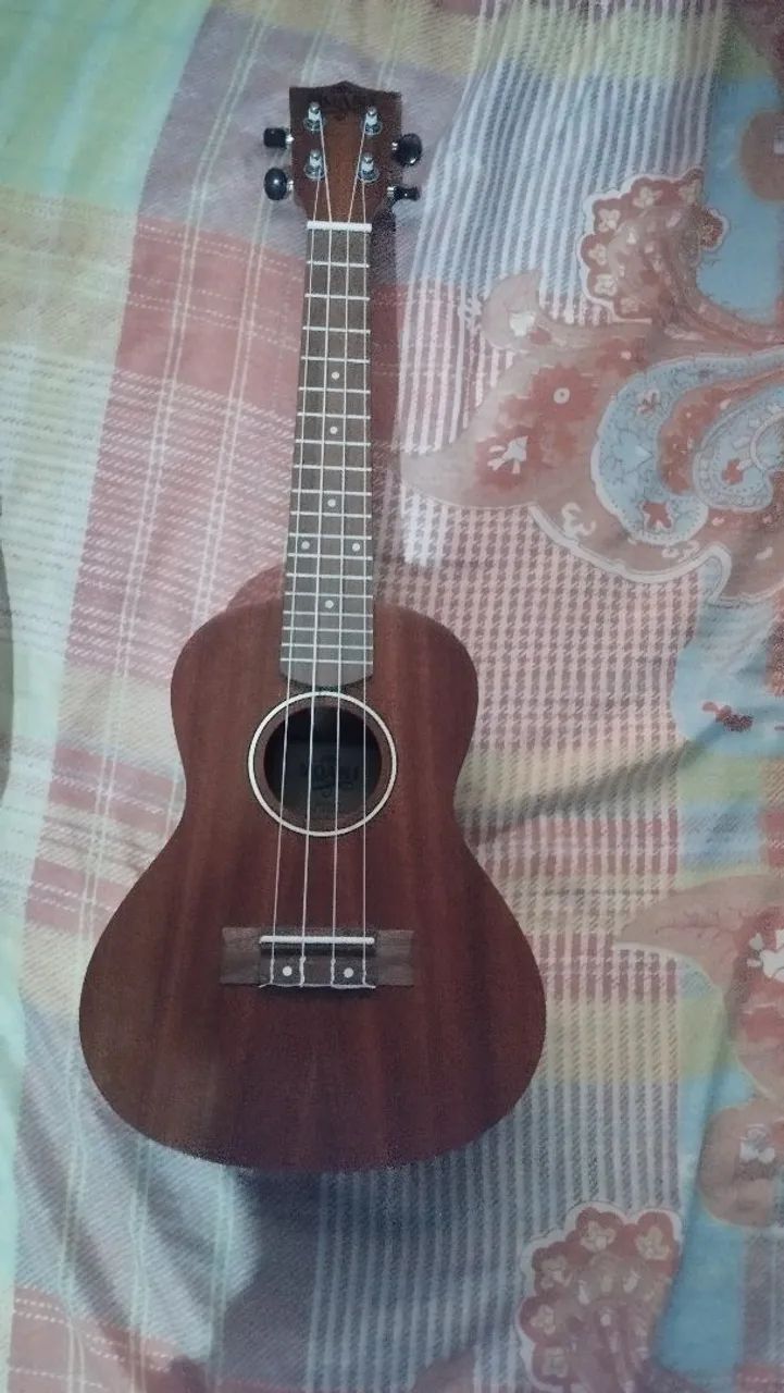 Ukulele 