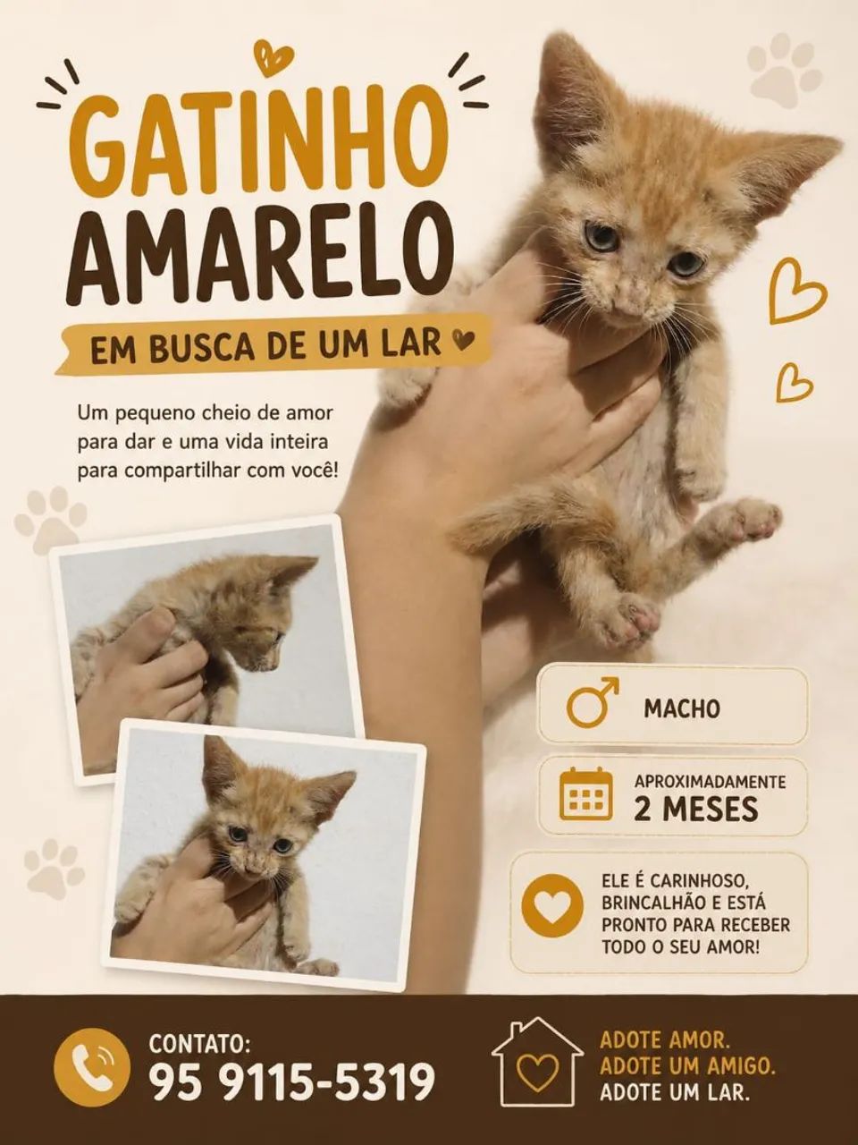 Adoção responsável 