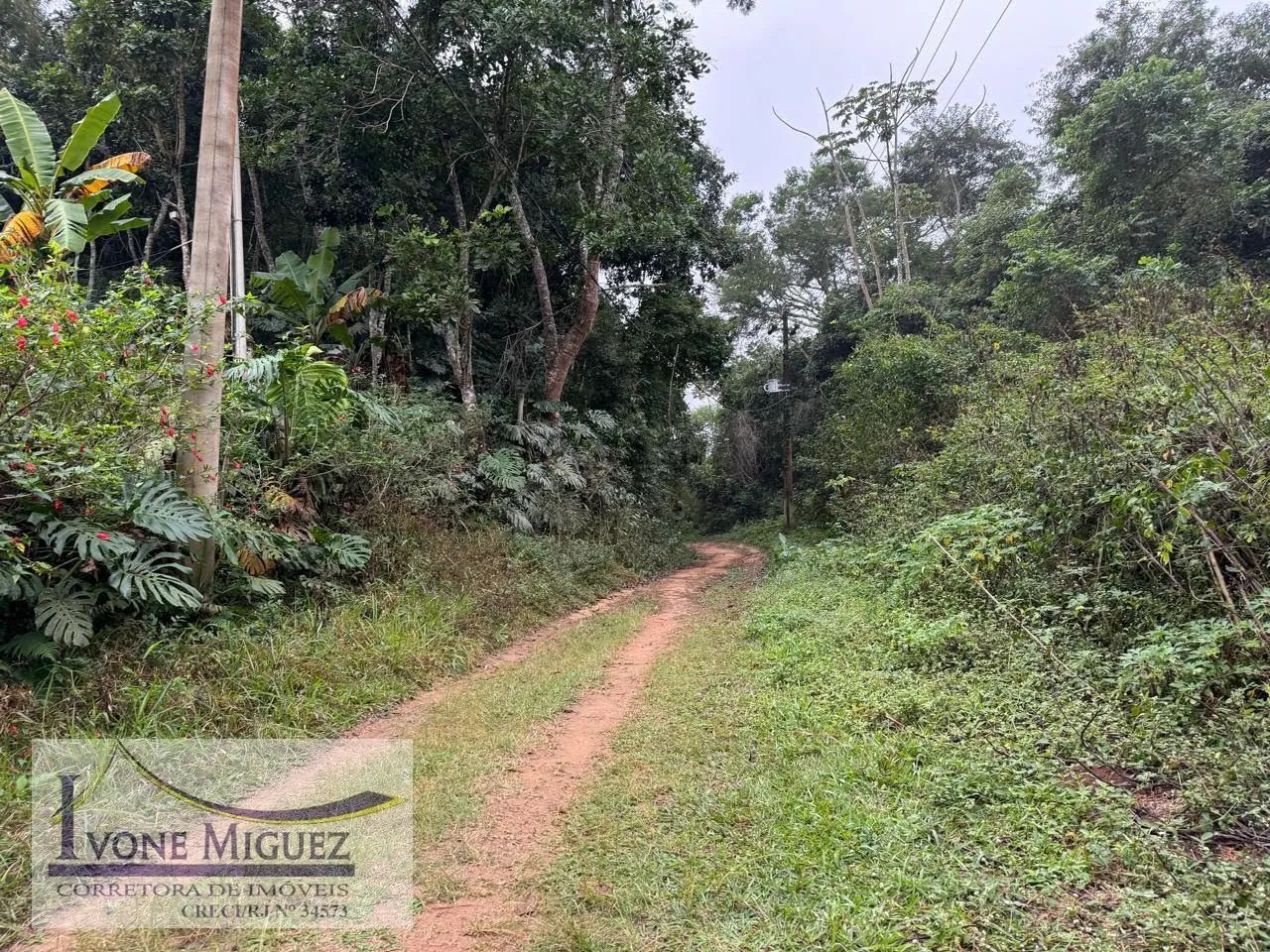 Terreno em Cinco Lagos - Mendes - Foto 5