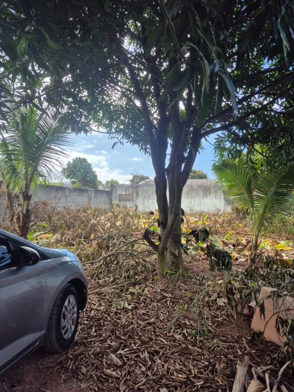 Lote em Morada da Barra - Foto 3