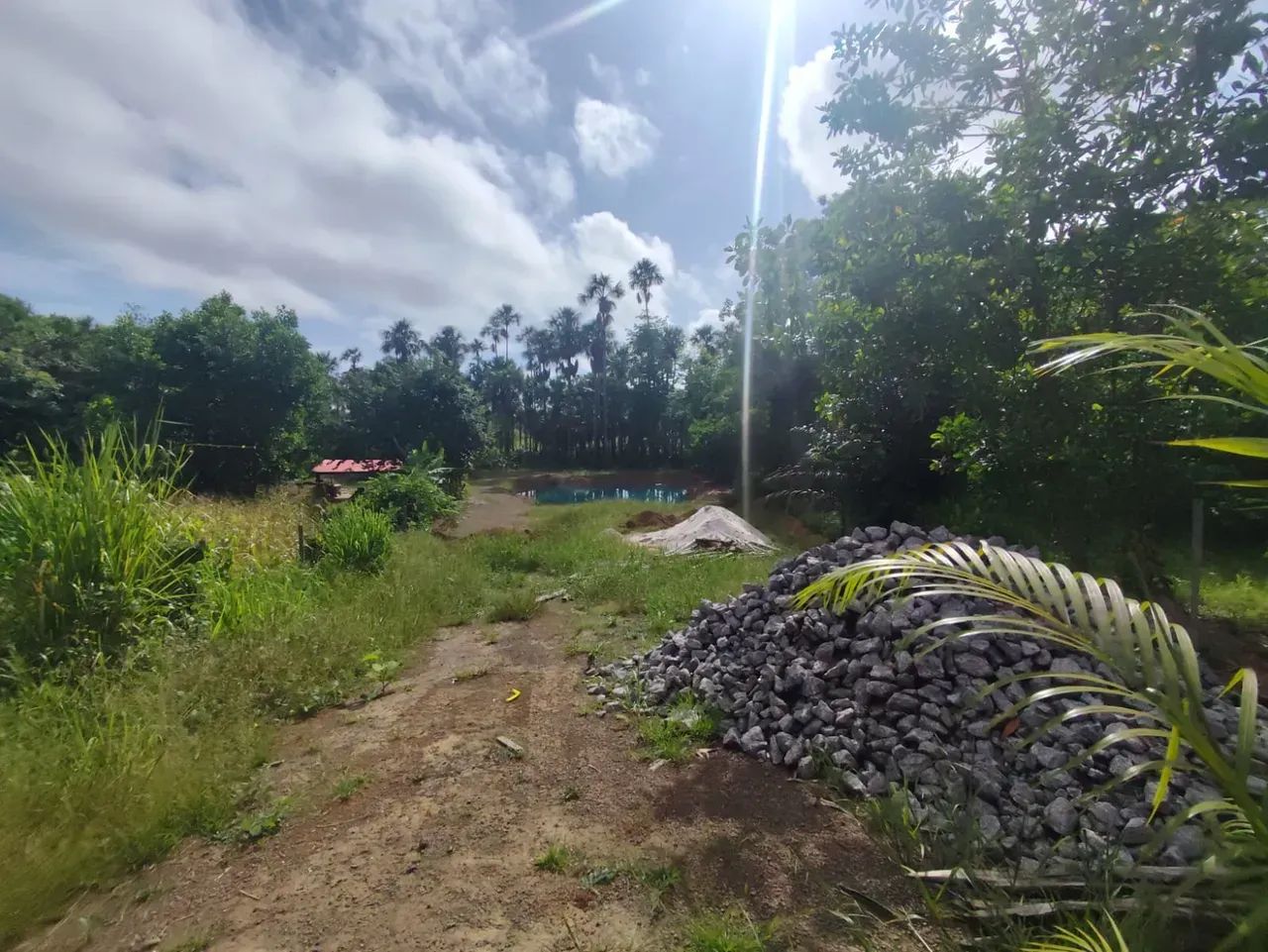 Lote a venda no Terra Nova Bosque - Macapá - AP - Foto 2