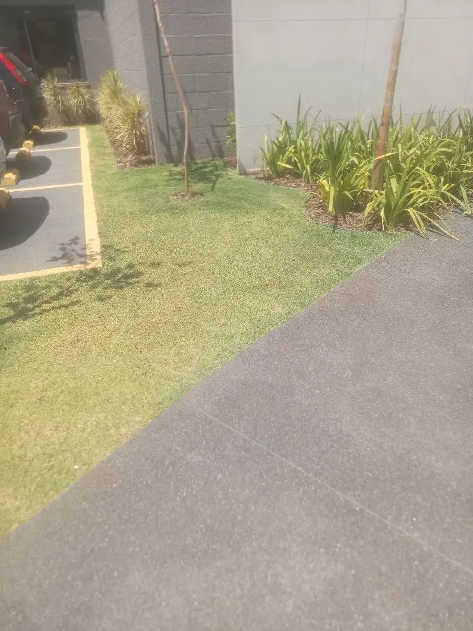 Jardinagem completa  - Foto 5